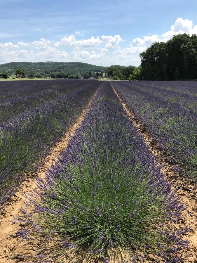 Les Sables D'Ocre & Spa Roussillon en Isere Eksteriør billede